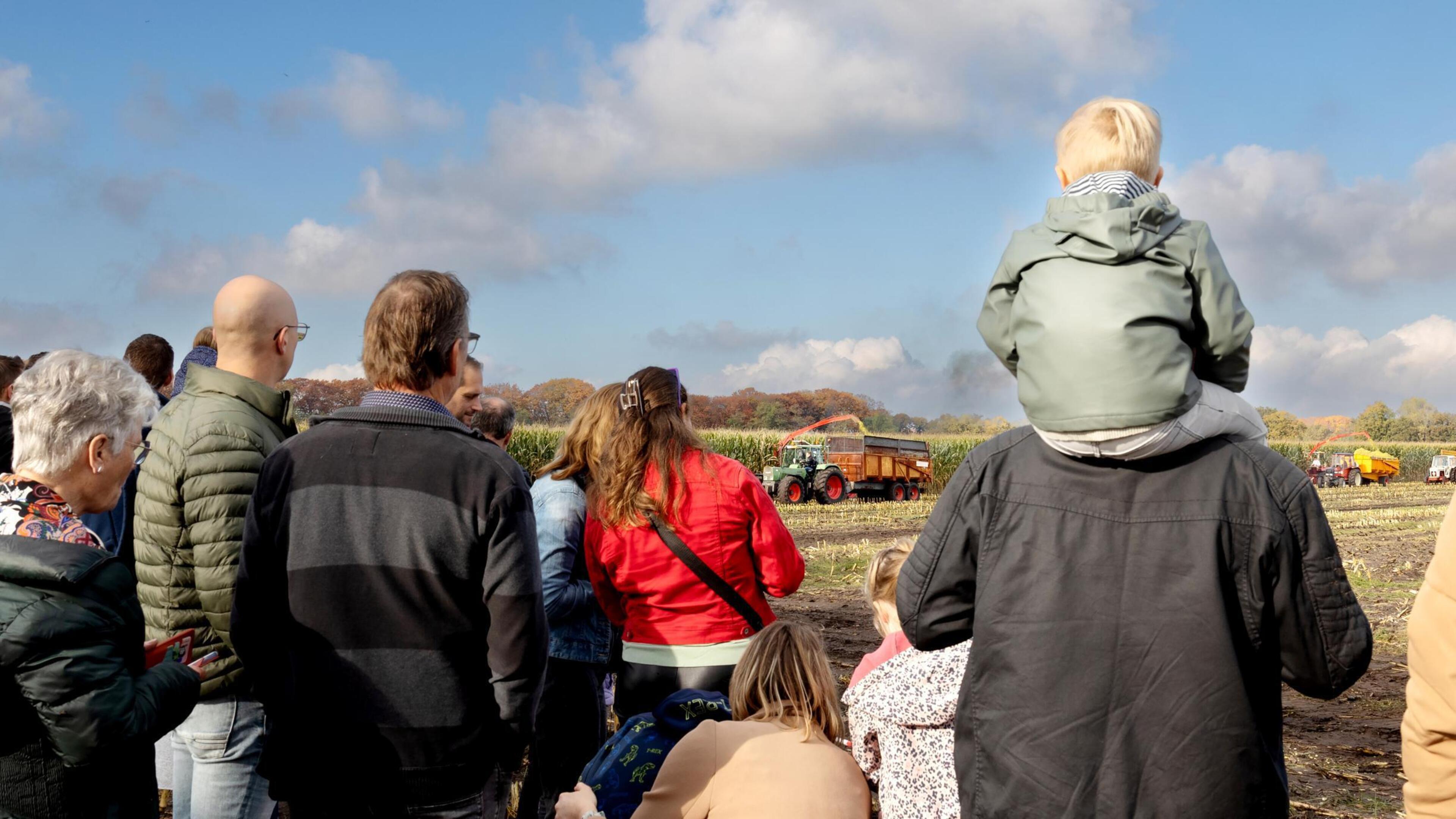 Oogsten van mais met oldtimer leidt tot evenement met internationale allure in Vredepeel: ‘Geweldige